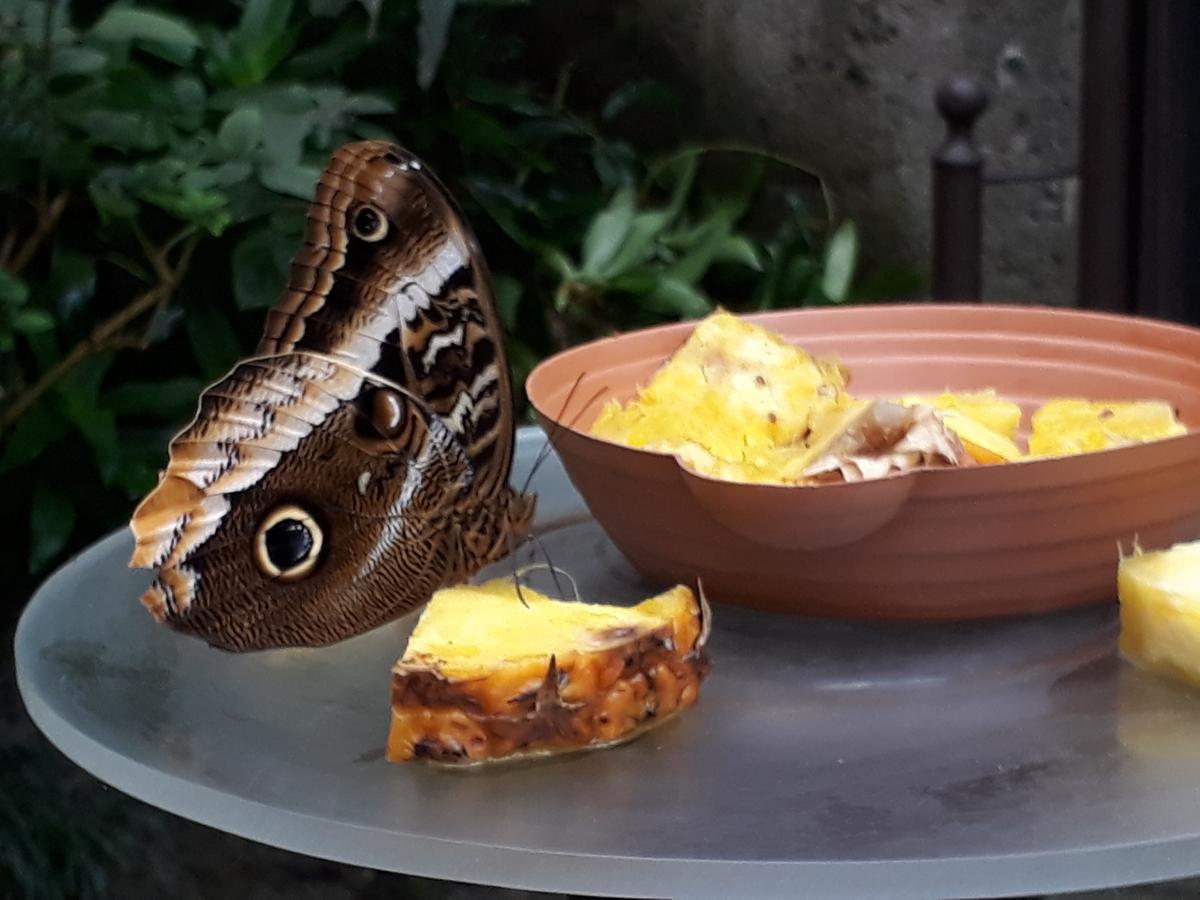 Posada Mama Bella Πλάγια Μπλάνκα Εξωτερικό φωτογραφία